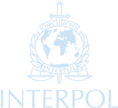 interpol1